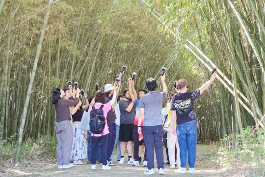 A Winter Spectacle of Rooks in the Sky: Samho Migratory Bird Park in Ulsan's Nam-gu