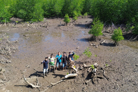 ULM Jadi Satu-satunya Universitas di Dunia Kelola Lahan Mangrove 611 Hektare