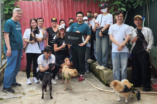 Relawan Vantage Foundation Berbagi Kasih dengan Laws for Paws Vietnam, Ikut Merawat Anjing Telantar