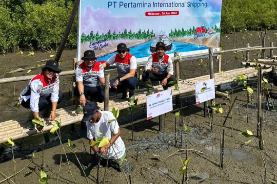 PIS Lakukan Penanaman 1.000 Mangrove di Makassar