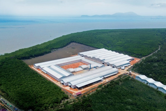 Saraswanti Group buka dua pabrik pupuk di Kalimantan Barat