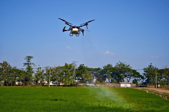 Pesawat Tanpa Awak XAG Jadi Lompatan Penting dalam Budi Daya Padi di Indonesia